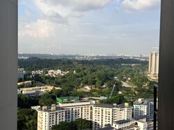 Blk 311B Trivelis (Clementi), HDB 4 Rooms #596344921